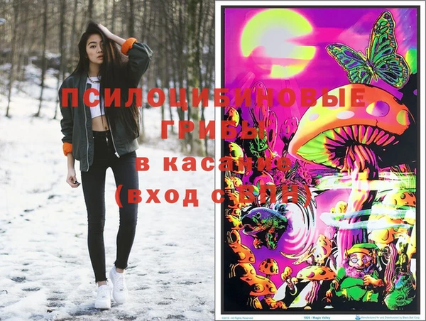 мескалин Елизово