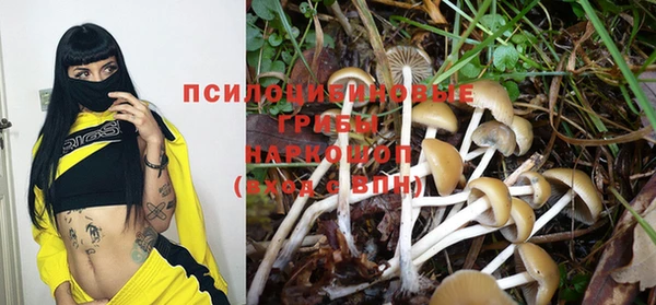 mdma Ельня