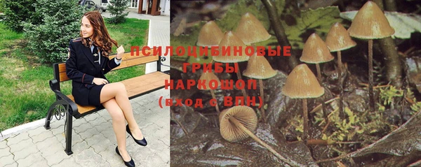 mdma Ельня