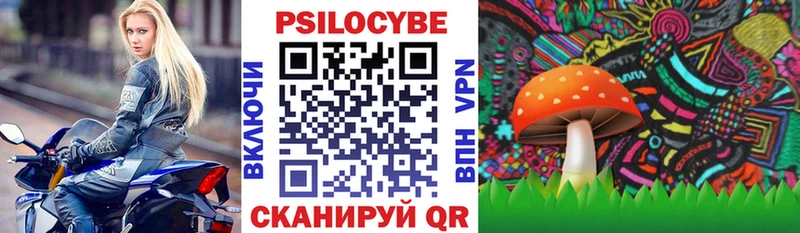 Купить где  Теберда  Галлюциногенные грибы прущие грибы 
